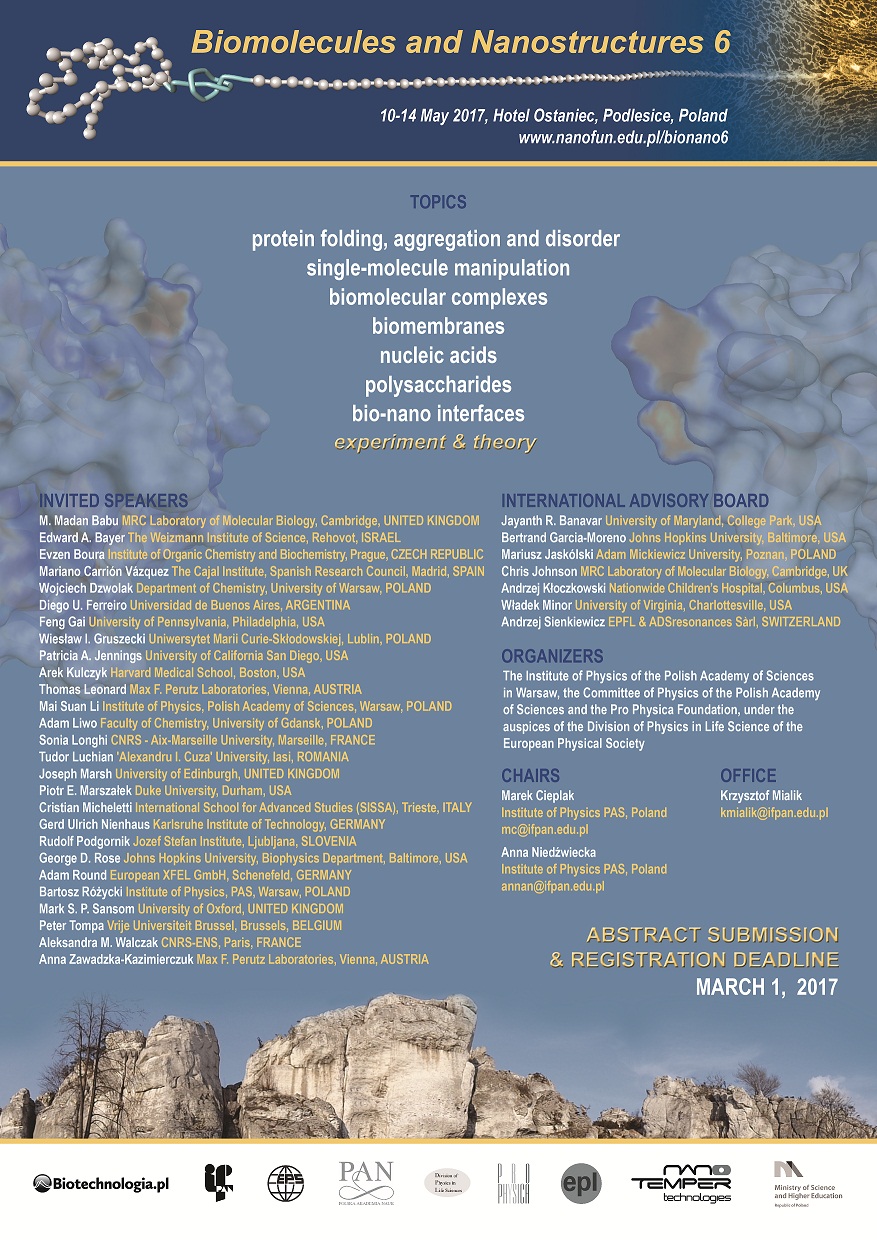 Conference Poster Biomolecules And Nanostructures 6